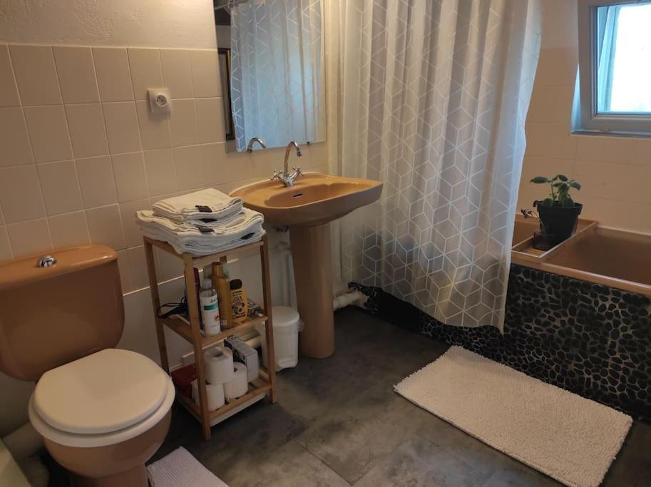 Appartement De Charme Coeur Historique Périgueux Eksteriør bilde